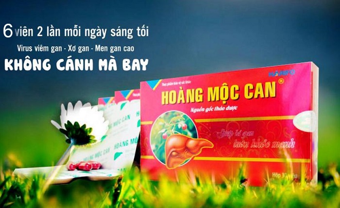 Hoang-Moc-Can-8.jpg