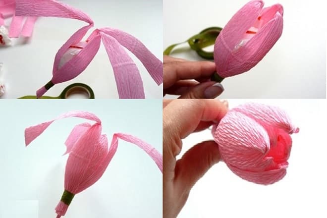 Hoa tulip bọc trong giấy crepe