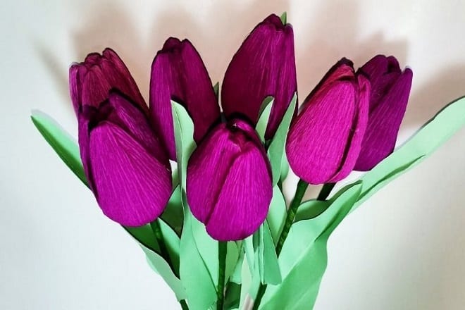 Bó hoa Tulip giấy