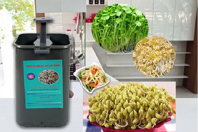 How to make bean sprouts by machine