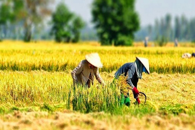 Sự tích Bàn Chung, Bản Dáy là bài ca về nền văn minh lúa nước của dân tộc Việt Nam.
