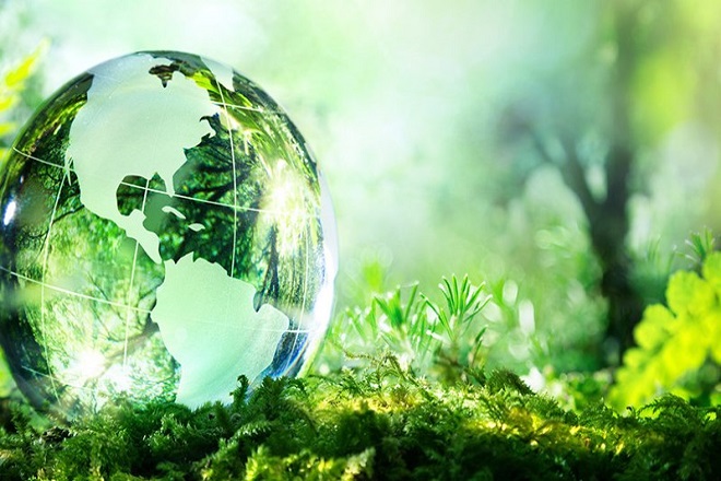 Trồng cây xanh là giải pháp bảo vệ môi trường