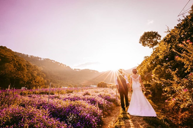 cặp đôi chụp ảnh cưới tại f cánh đồng hoa