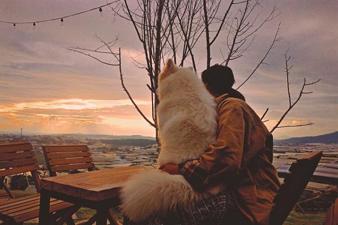 đón bình minh trên nông trại cún