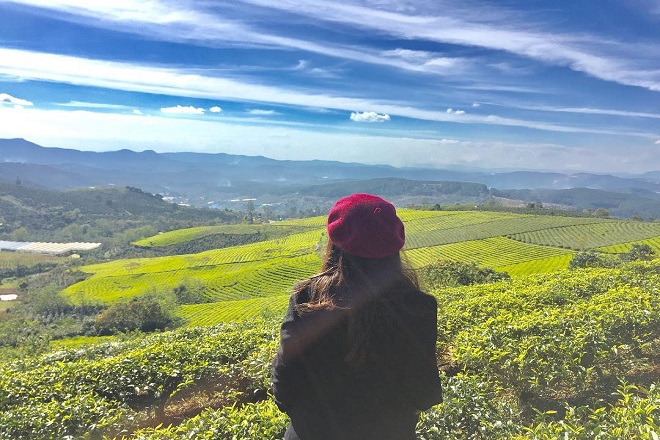 vẻ Äẹp mÆ¡ mà ng cá»§a Äá»i chè