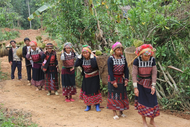 tết cơm mới