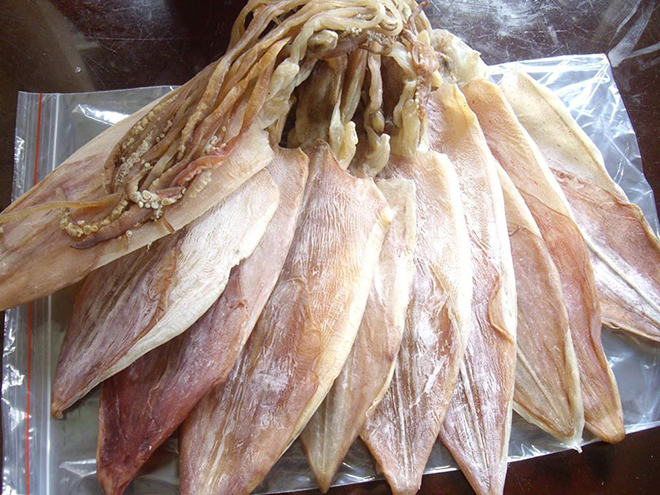 Mực ở vùng biển Quảng Bình có thân dày, ngọt và thường rất có giá trị dinh dưỡng