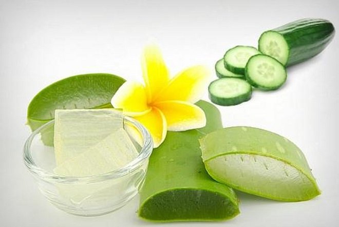 nha đam và dưa chuột