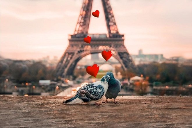 Paris được coi là điểm đến hoàn hảo cho mùa tình yêu này