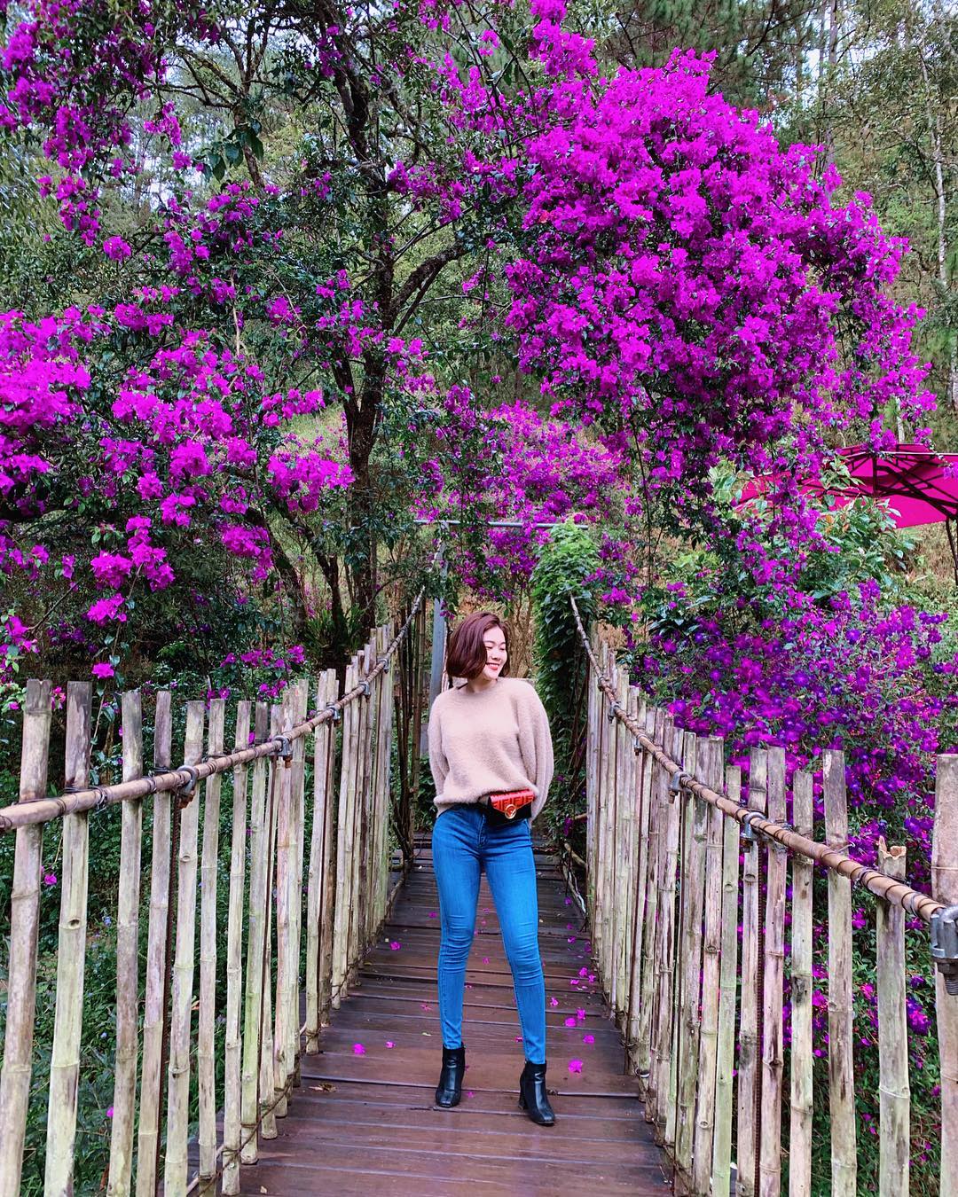 Cây cầu gỗ và dàn hoa màu tím là backroup chụp hình được nhiều du khách yêu thích 