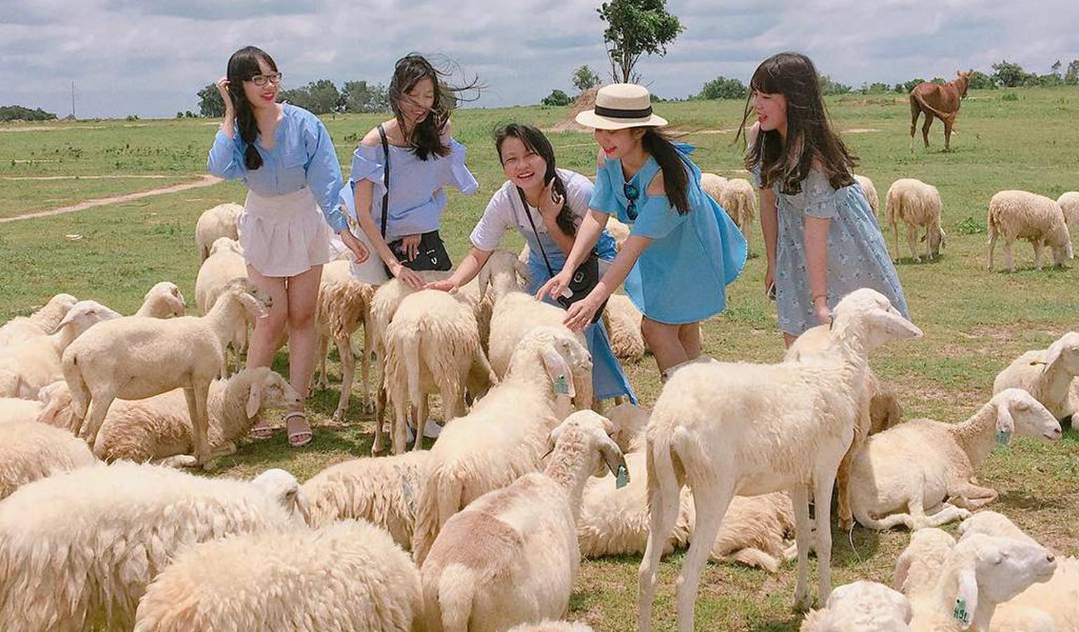 Khu du lịch Vũng Tàu Đồng cừu Suối Nghệ