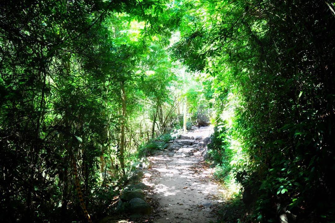 Con đường lên núi Minh Đạm rợp bóng cây xanh