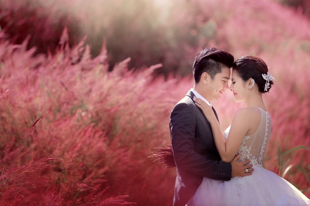 Ảnh cưới ở đồi cỏ hồng Đà Lạt