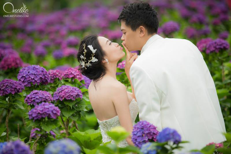 Chụp hình cưới ở vườn hoa 