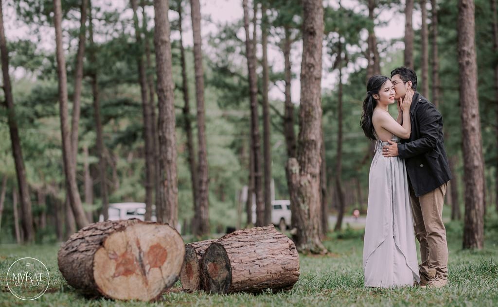 Các cặp đôi có thể chụp hình ở các rừng thông của Đà Lạt 