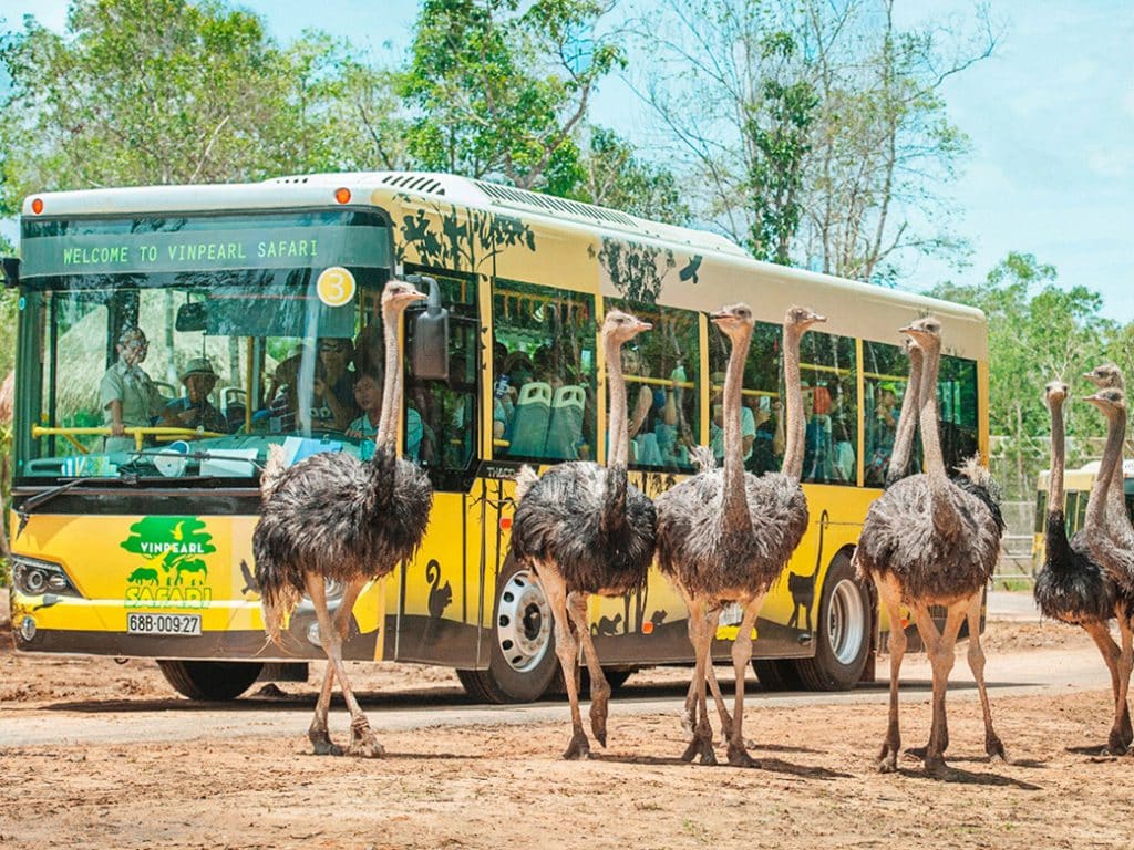 Du lịch Phú Quốc tết Dương lịch chơi gì?