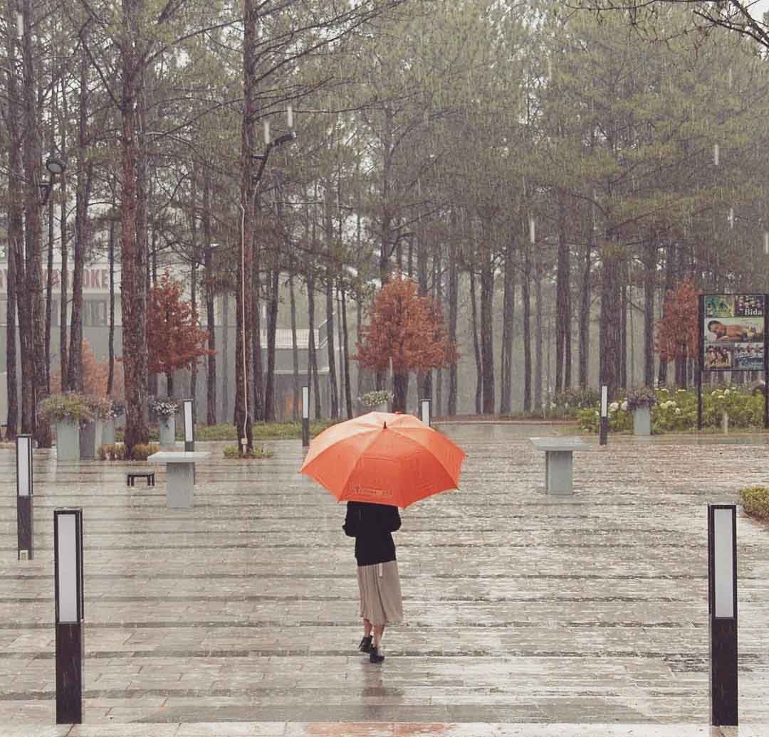 Nên chuẩn bị áo mưa hoặc dù để tránh những cơn mưa bất chợt 