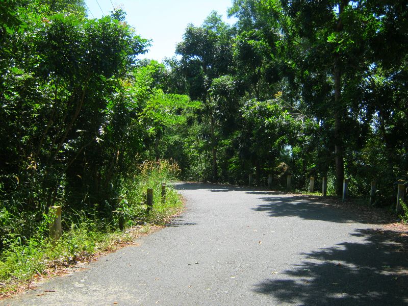 Con đường dẫn vào núi Minh Đạm