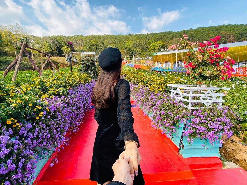 Dịch vụ trồng hoa phục vụ du khách tham quan chụp ảnh  Báo Nam Định điện  tử