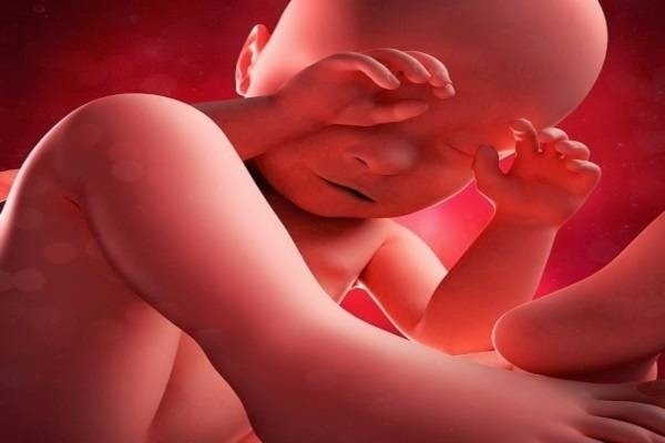10 điều mẹ nên biết về thai máy