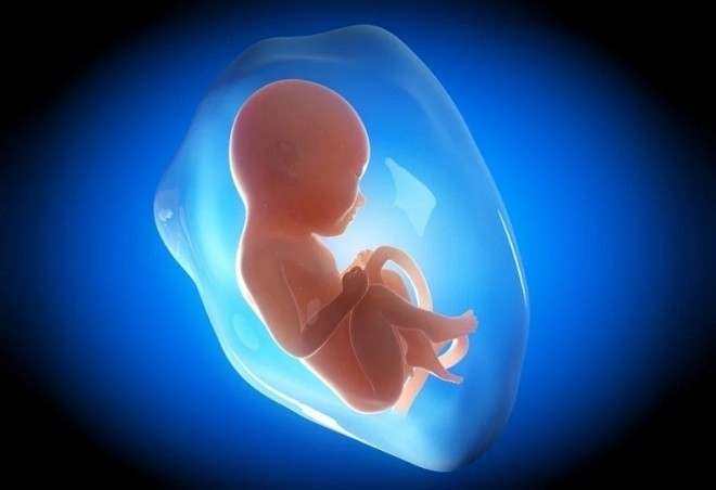Mang thai bị đa ối có nguy hiểm không, mẹ nên làm gì để bảo vệ sức khỏe thai nhi?