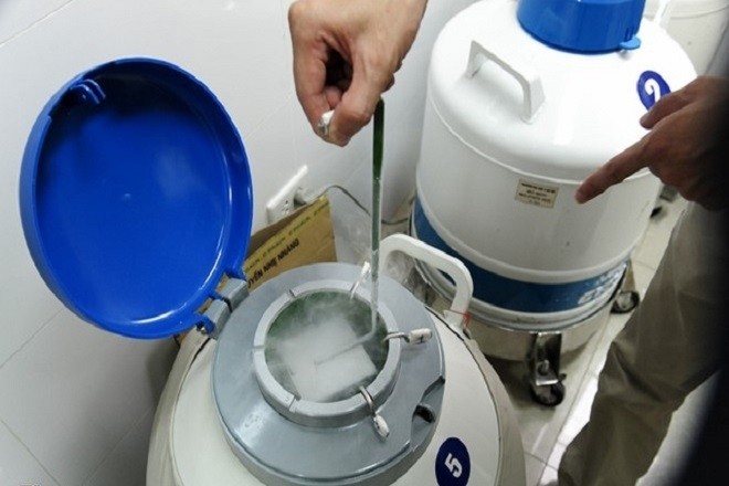 Phôi chất lượng cao được lưu trữ trong bể nitơ lỏng