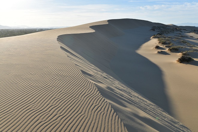cồn cát Quang Phú