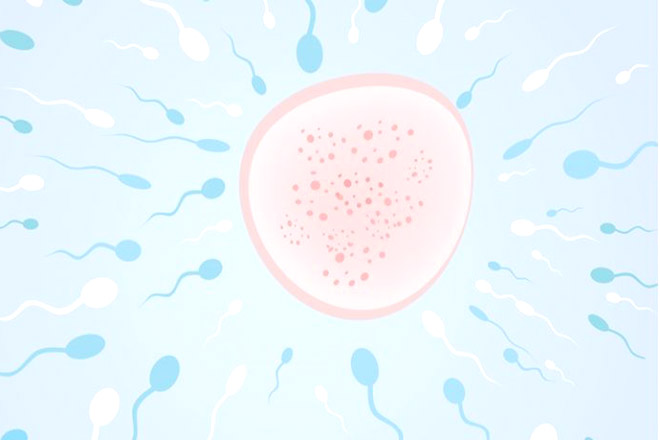 Dấu hiệu tinh dịch bất thường ở nam giới – vấn đề nghiêm trọng ảnh hưởng đến việc thụ thai