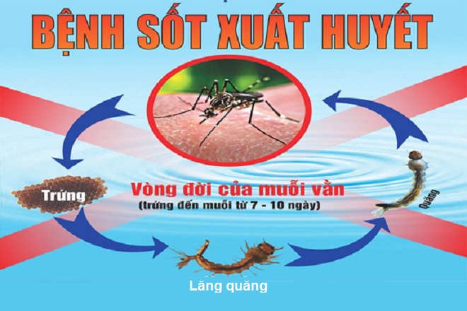 sốt xuất huyết