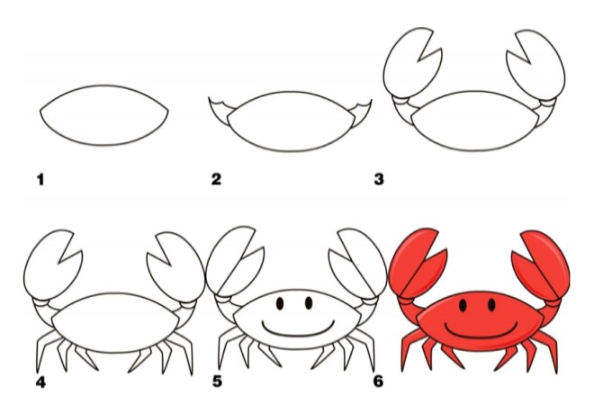 Cách vẽ hình con cua 2