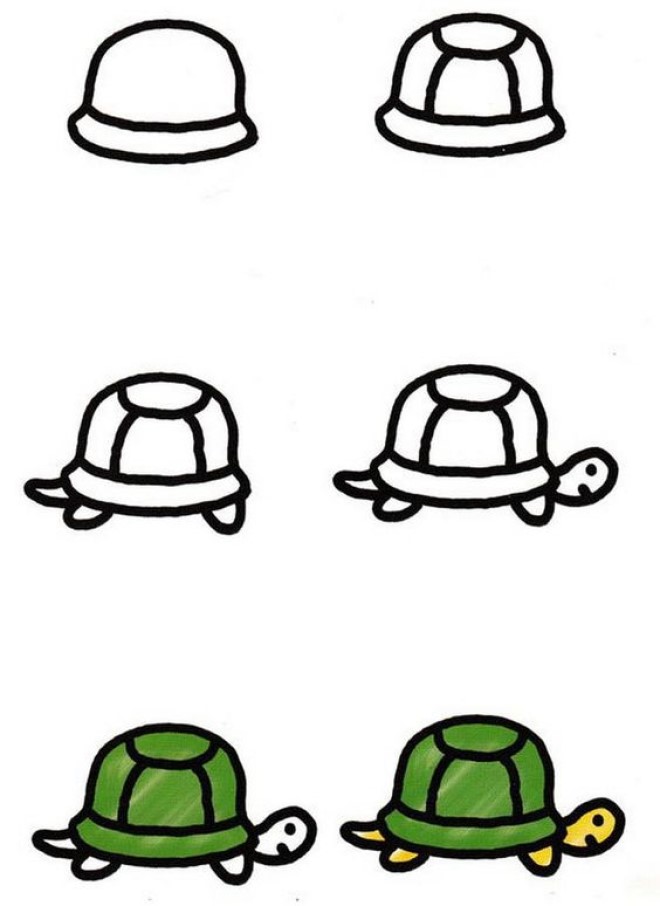 Cách vẽ hình con rùa 2