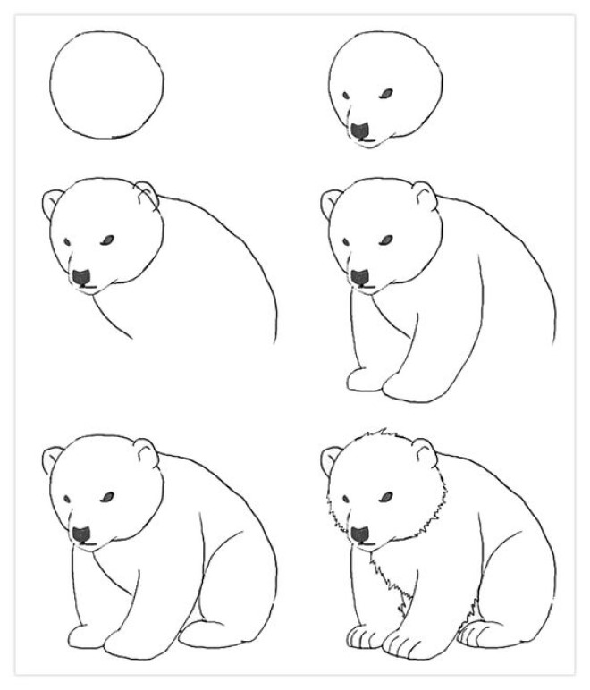 Cách vẽ hình chú gấu