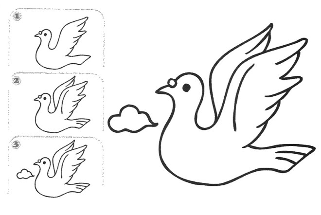 Vẽ hình chú chim bồ câu