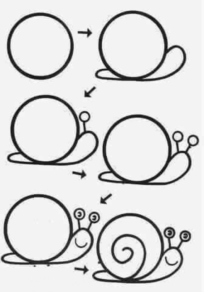 Cách vẽ hình con ốc sên