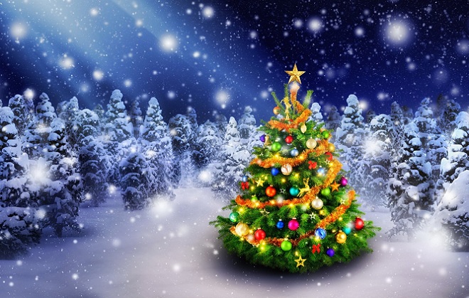 Trang trí Noel: Với chúng tôi, mùa giáng sinh luôn đầy đủ các ý tưởng trang trí cho ngôi nhà của bạn. Hãy để chúng tôi giúp bạn tạo nên không gian ấm cúng, rực rỡ ánh sáng như thể đang đón chờ ông già Noel đến thăm. Ánh nến, lồng đèn, bắp cải, cây thông tặng quà đều được chúng tôi dùng để trang trí cho không gian Noel đầy ấm áp.