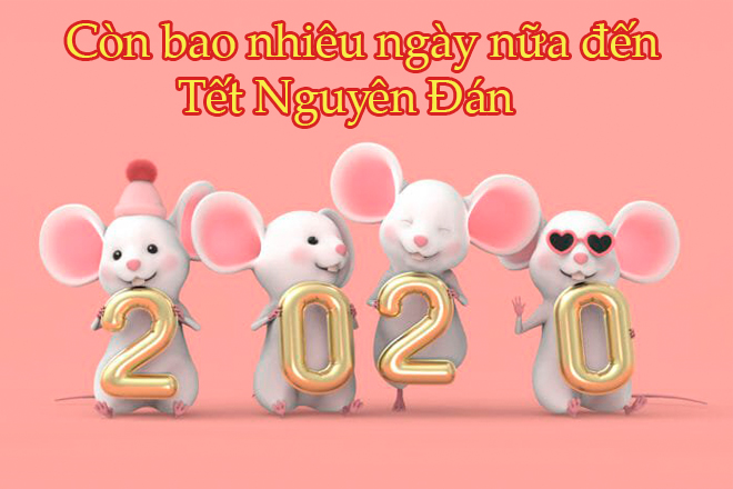 Con Bao Nhieu Ngay Ná»¯a Ä'áº¿n Táº¿t Nguyen Ä'an 2020 Báº¡n Ä'a Dá»n Nha ChÆ°a