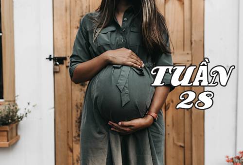  Thai 28 tuần và 5 điều cần thiết mẹ bầu nào cũng nên chú ý thực hiện