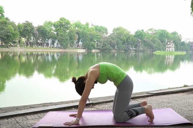 Dạy yoga trực tuyến