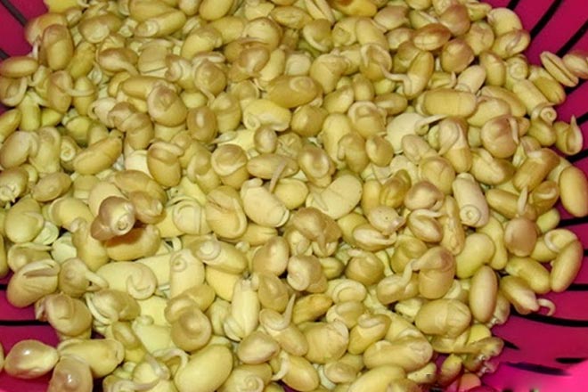 ngam dau nanh cho den khi nut ra