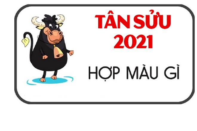 tan suu hop mau gi