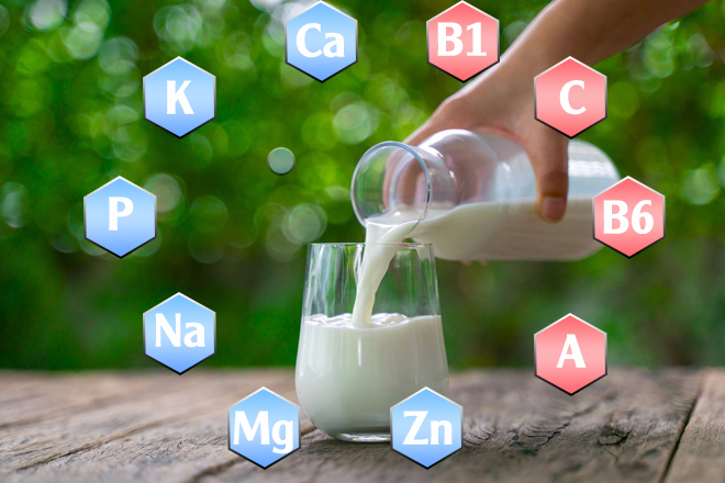 Sữa tươi chứa nhiều dưỡng chất thiết yếu