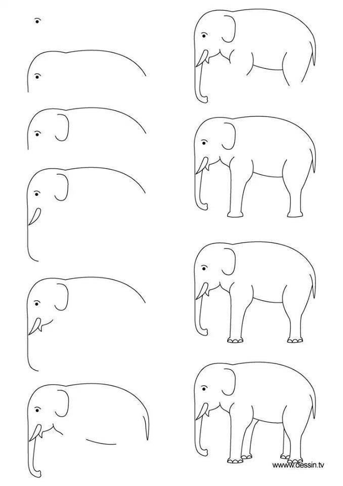 Đây là một bức tranh đơn giản, dễ thương với các hình vẽ các con vật ngộ nghĩnh. Trẻ nhỏ của bạn sẽ đặc biệt yêu thích các hình vẽ tựa như đại bàng, cá heo hoặc còn vẽ các con thú như hươu cao cổ,... Điều này sẽ giúp bé cảm thấy yêu thích và thoải mái khi học vẽ.