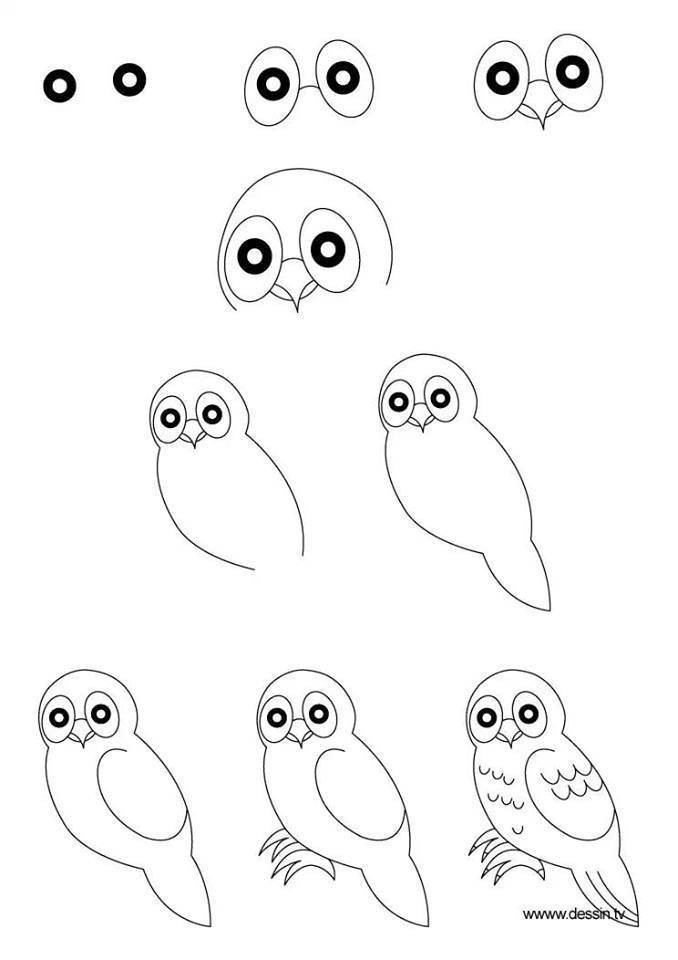 Cách Vẽ Hình Con Chim Đơn Giản Cho Bé 2 | Mn Ánh Sao