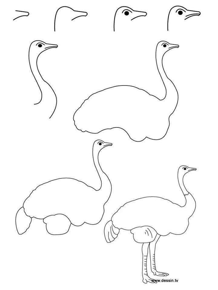 Cách vẽ hình con chim đơn giản cho bé 2 | MN Ánh Sao