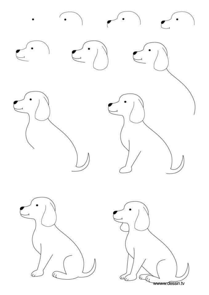 Tổng hợp 100 cách vẽ hình con vật ngộ nghĩnh, đơn giản cho bé