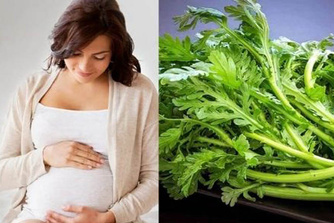 khi bạn có một máy chủ?