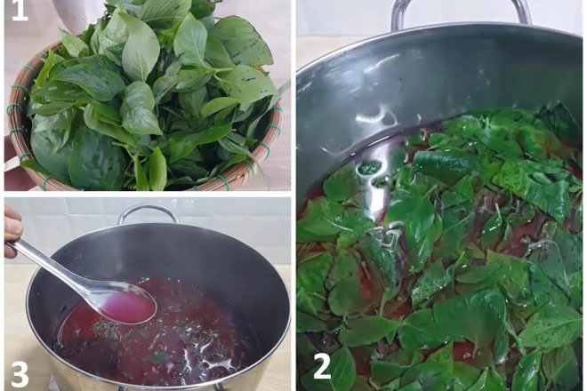 Cooking Camellia leaves