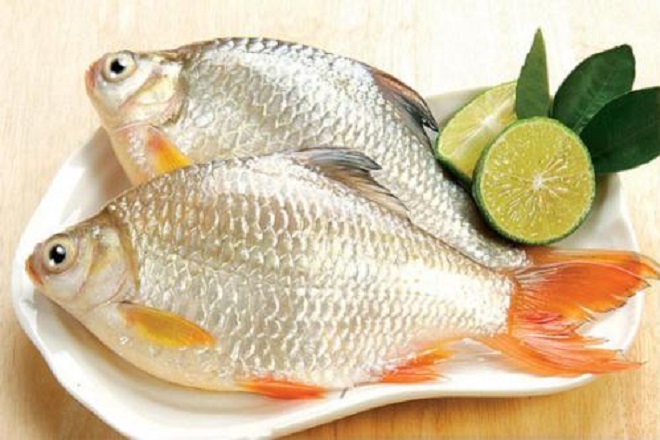 Cá diếc là gì? Gợi ý những món ăn ngon từ cá diếc bình dị nhưng cực ấm áp, bổ dưỡng