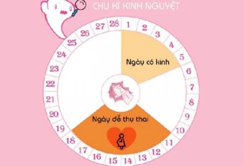 Sạch kinh bao lâu thì trứng rụng? Dấu hiệu trứng rụng là gì?