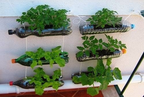 55 Mẫu Vườn Rau Đẹp Tại Nhà Dễ Làm Sáng Tạo Rau Ăn Không Hết #11 55 Mẫu Vườn Rau Đẹp Tại Nhà Dễ Làm Sáng Tạo Rau Ăn Không Hết